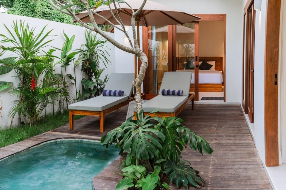 Garden, Pool view, Pool view, Swimming pool, Swimming pool, Swimming pool, sunbed