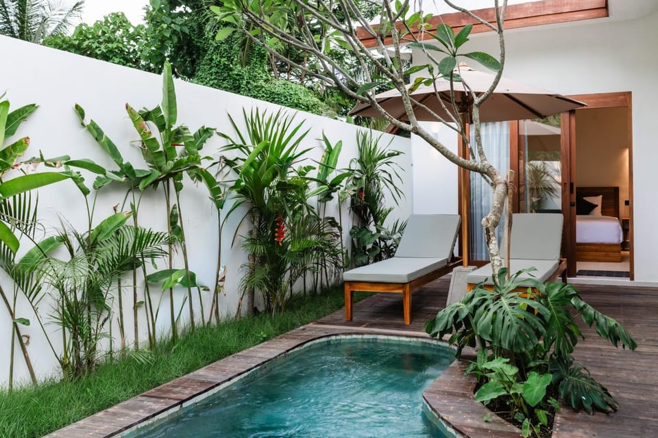 Garden, Garden, Garden view, Pool view, Pool view, Swimming pool, Swimming pool, sunbed