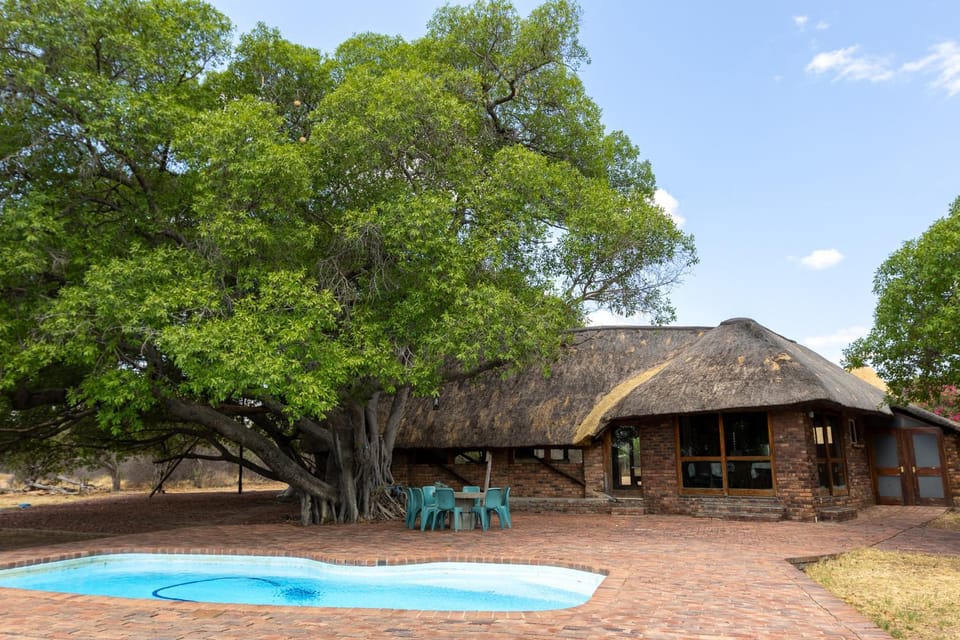 Tholo Bush Stay Nature lodge in South Africa