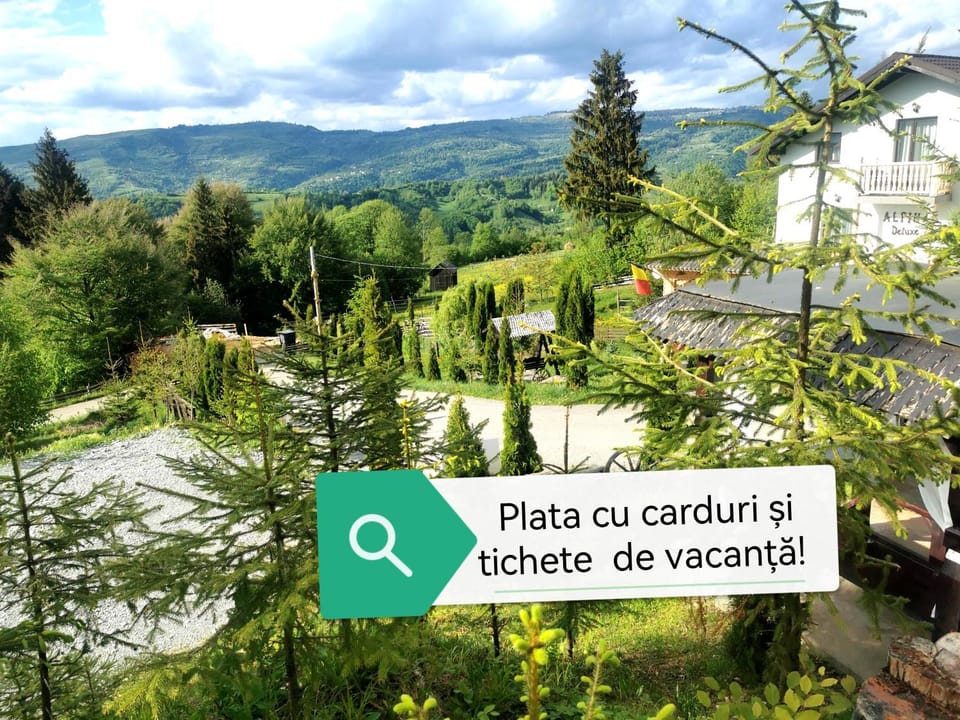 Alpina Deluxe Panoramic Bed and Breakfast in Romania