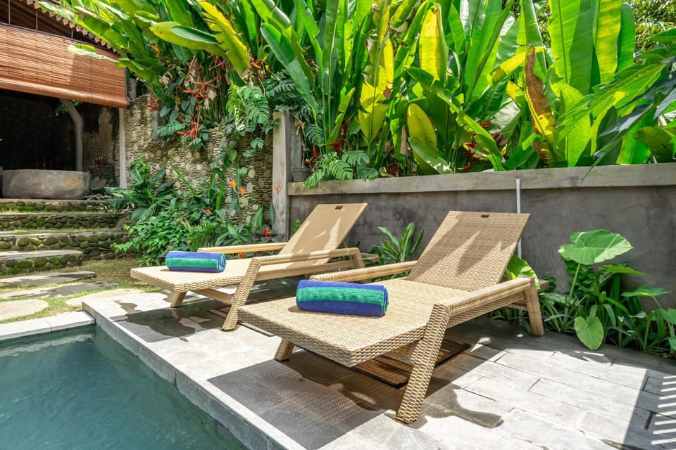 Day, Garden, Garden view, Pool view, Swimming pool, sunbed