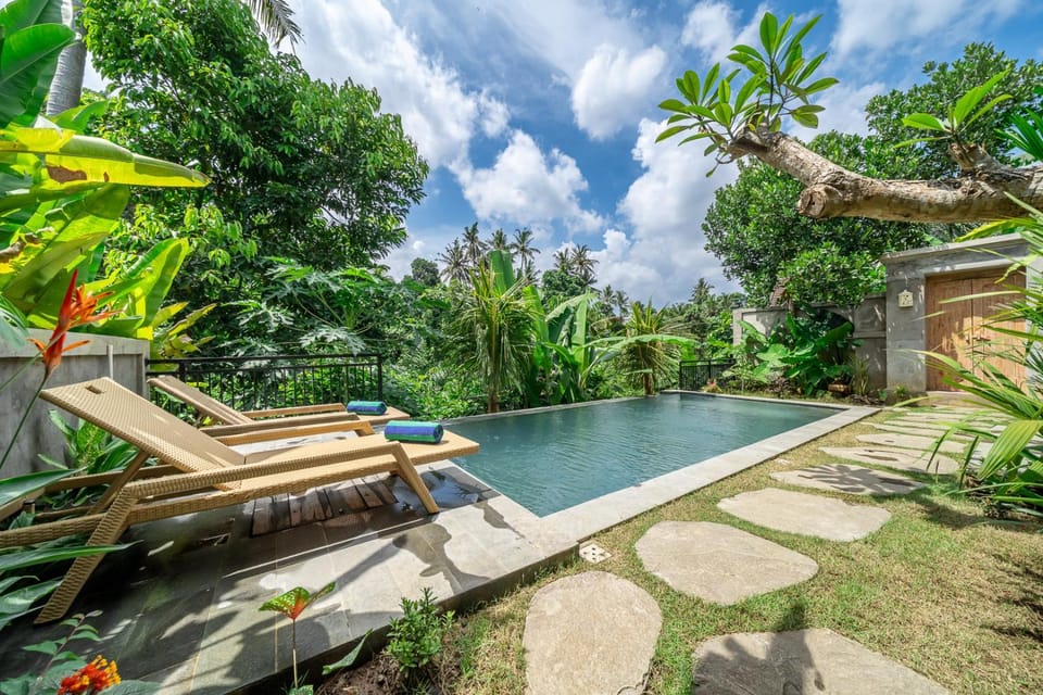 Day, Natural landscape, Garden view, Pool view, Swimming pool, Swimming pool, sunbed, towels