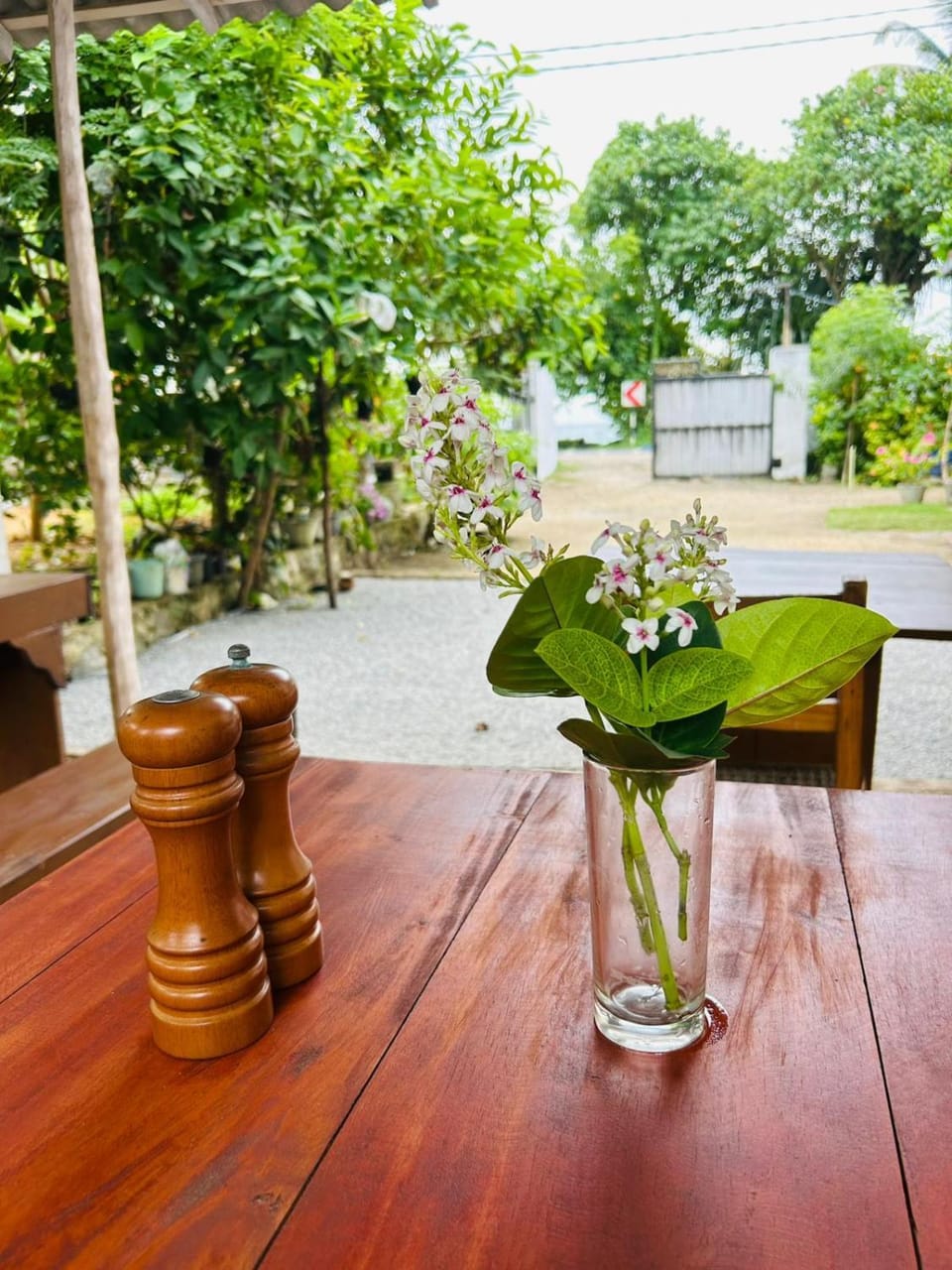 Day, Garden, Dining area