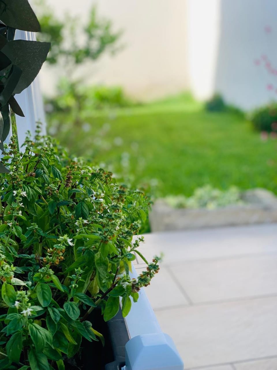 Garden, Garden view
