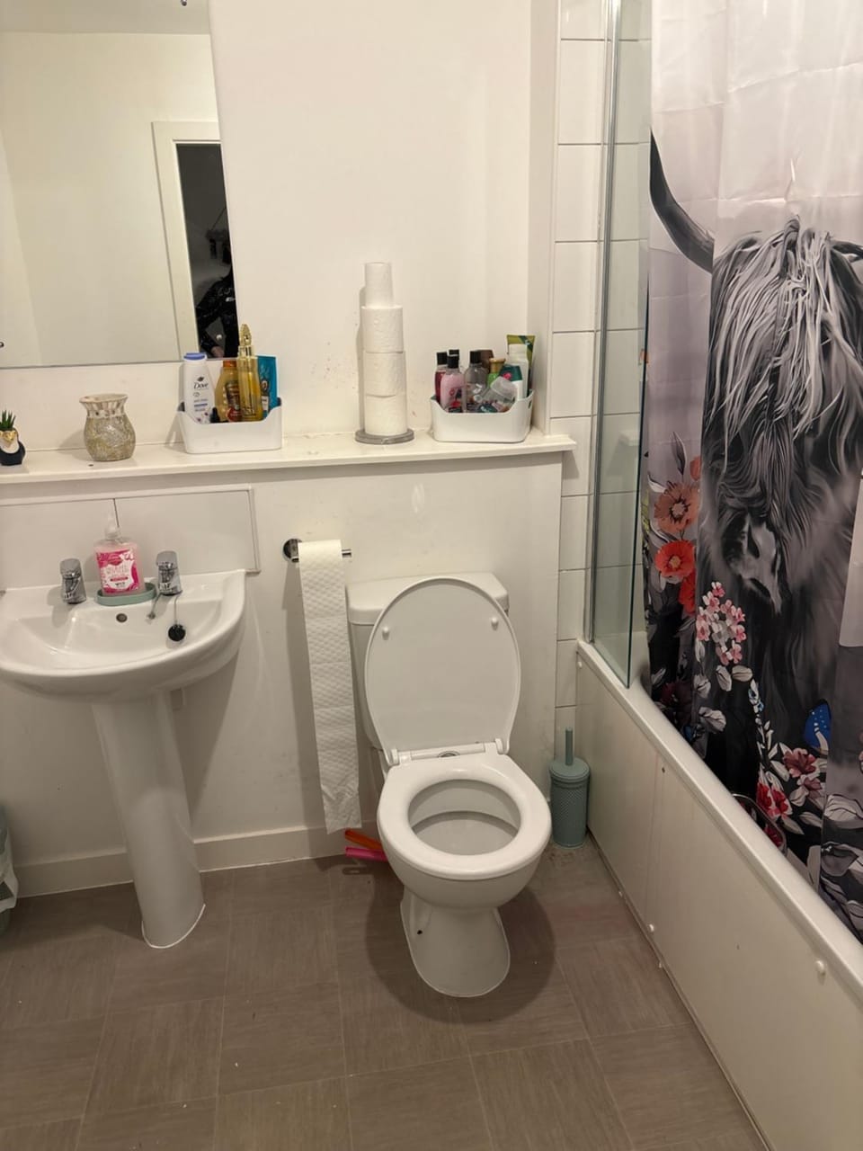 Toilet, Bathroom