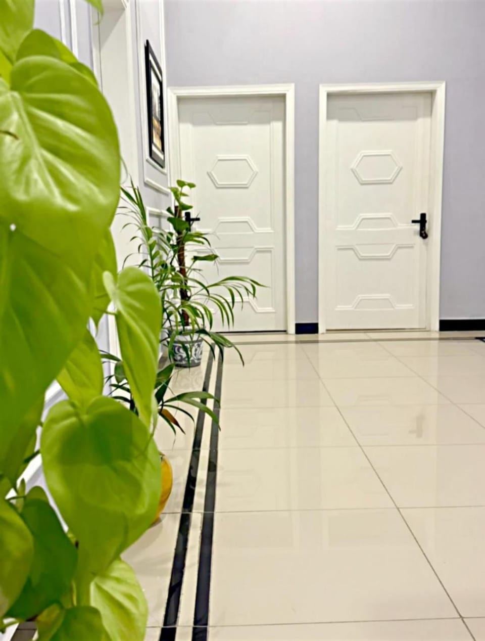 Serene Stay Bed and Breakfast in Karachi