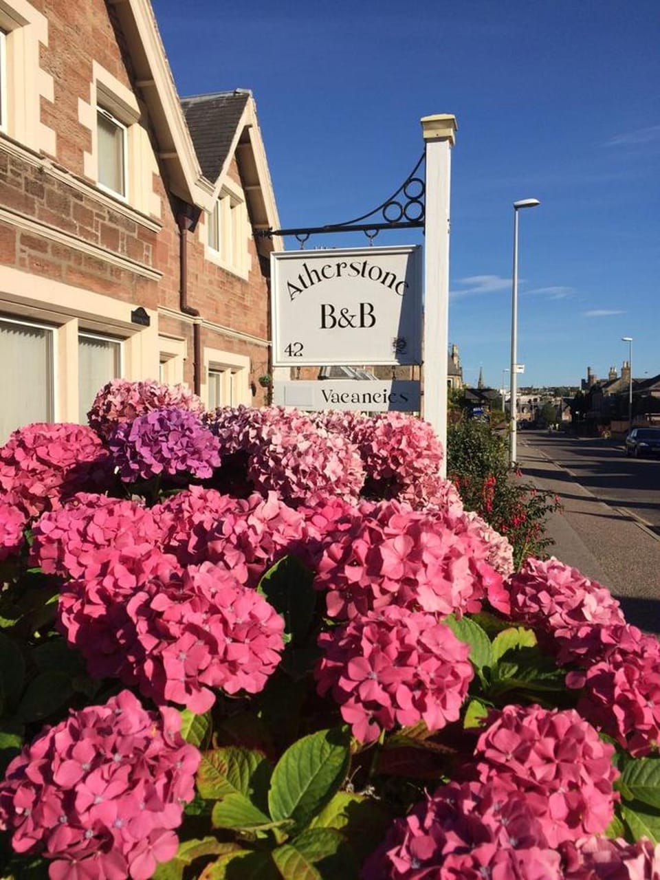 Property building, Property logo or sign, Garden