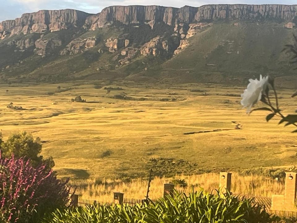 Mountain view
