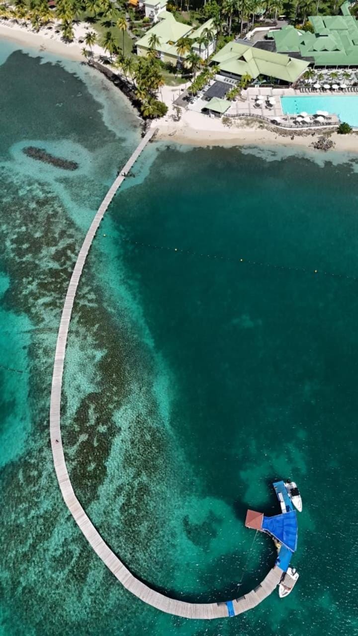 Day, Bird's eye view, Beach
