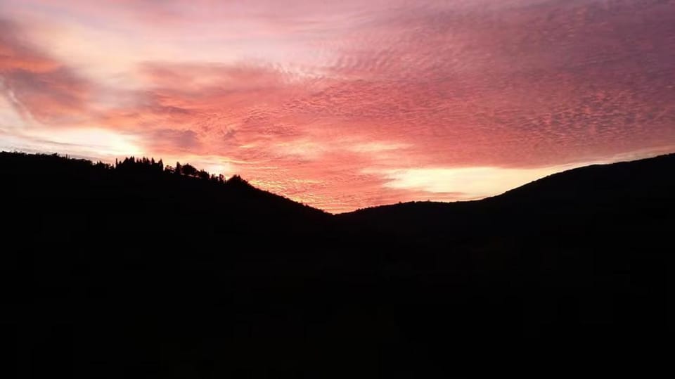 Le Selve House in Radda in Chianti