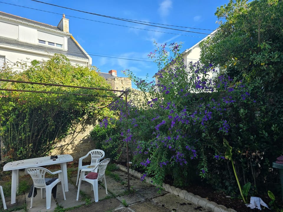 Garden, Balcony/Terrace