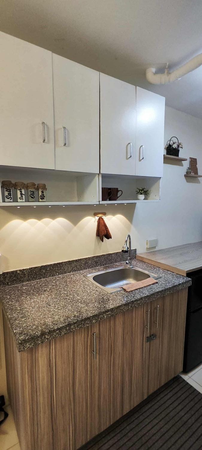 Kitchen or kitchenette, kitchen
