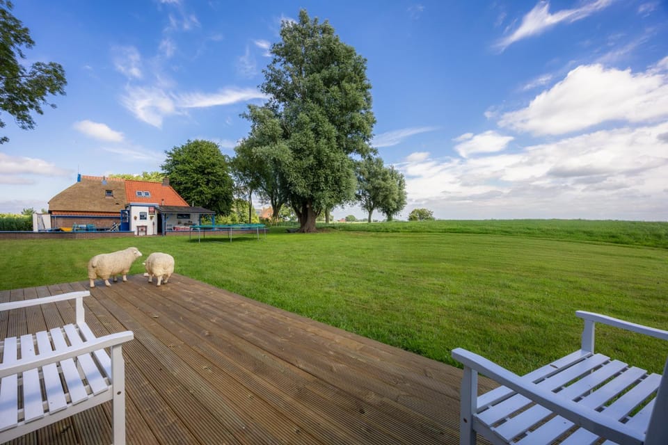 Property building, Spring, Day, Children play ground, Garden, View (from property/room), Garden view, Entertainment