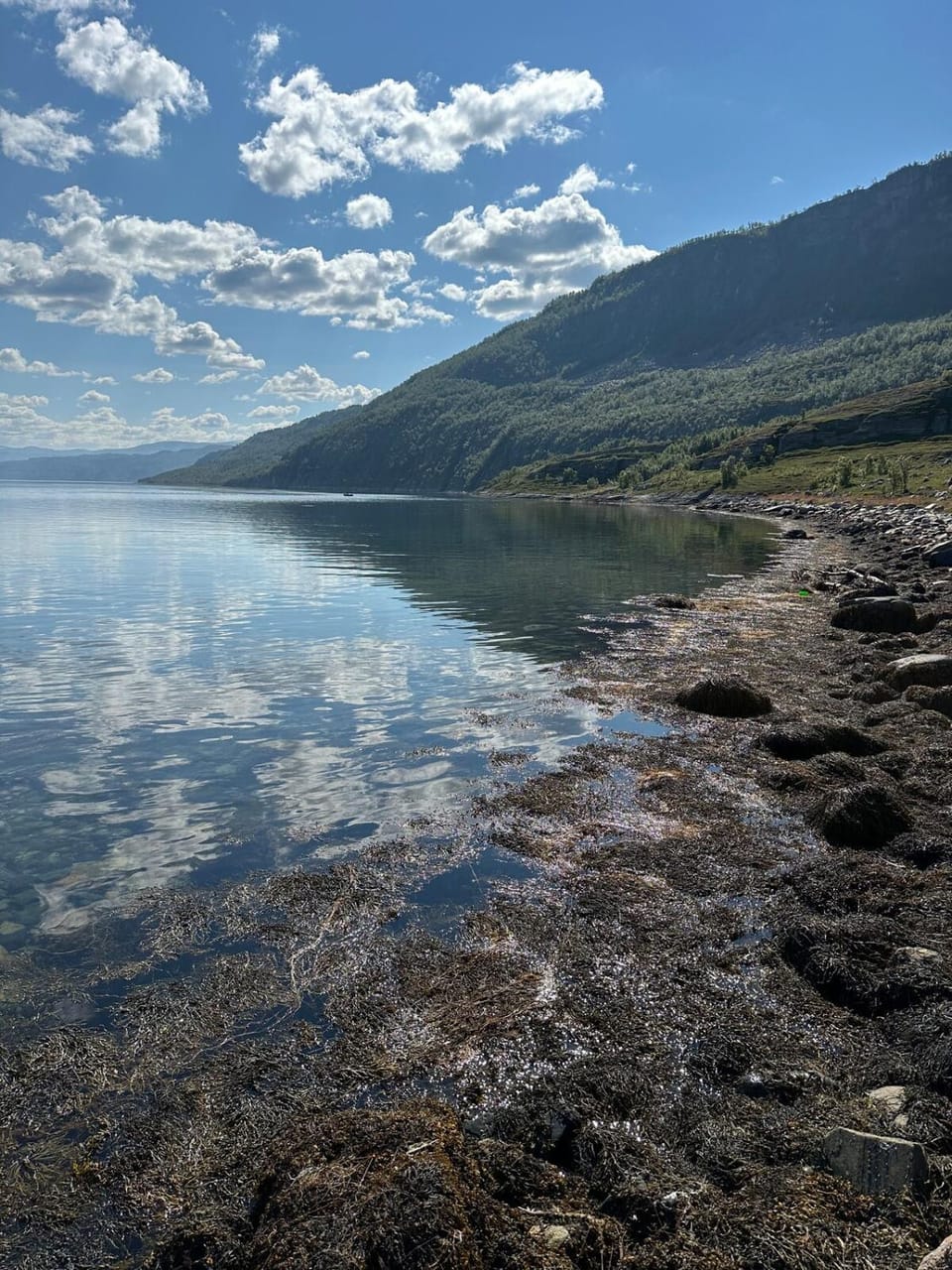 Natural landscape, Beach, Mountain view, Sea view