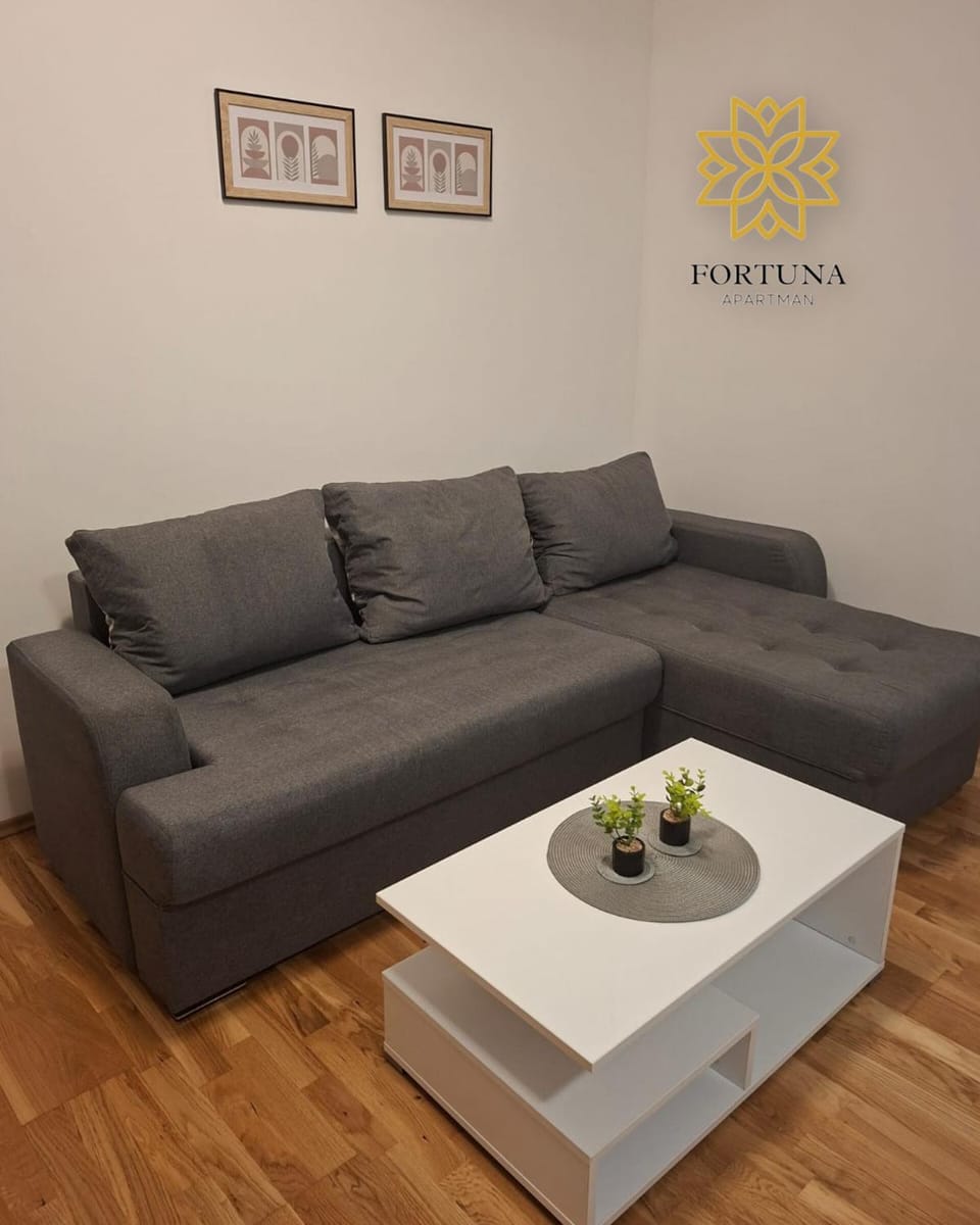 Apartman Fortuna Centar Apartment in Serbia