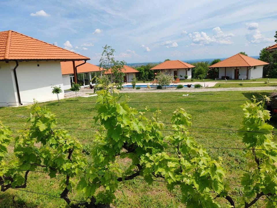 Vinogradi Zmajevački House in Serbia