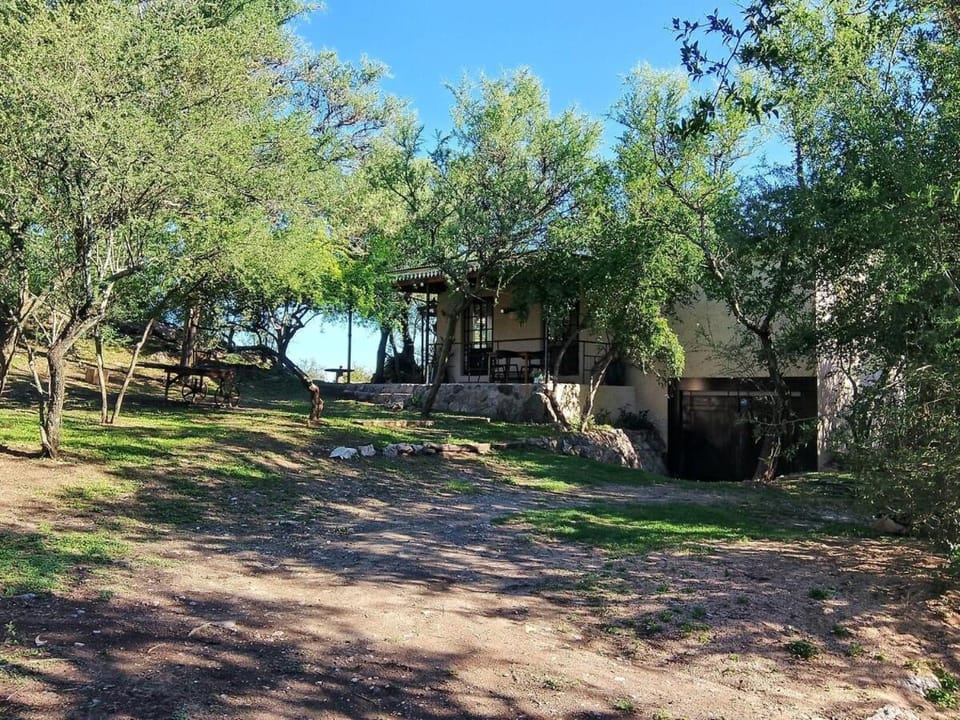 Patio, Natural landscape