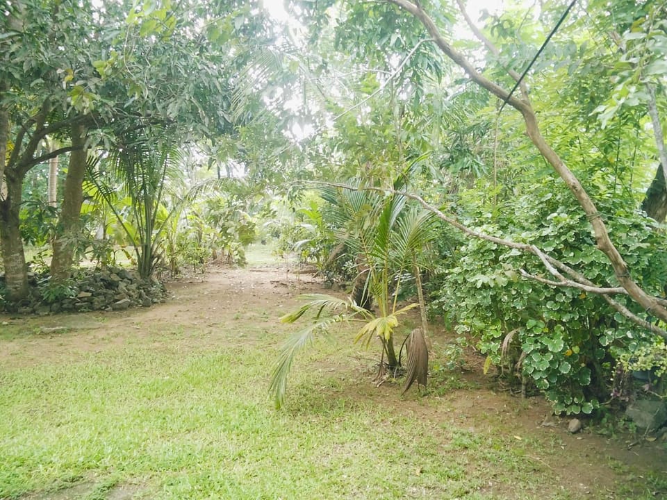 Deeptha's cabana Apartment in Hikkaduwa