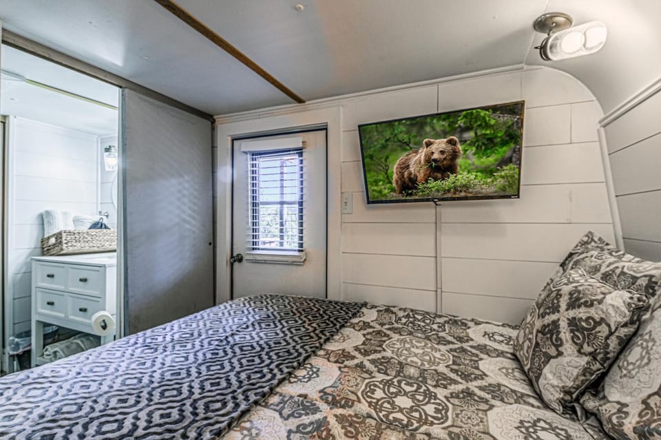 Mountain Top Cabin with a View - Bear Cabin Cabin in Ruidoso