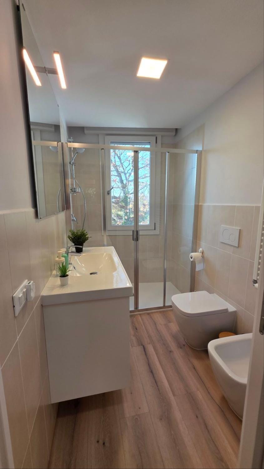 Shower, Toilet, Bathroom, bidet