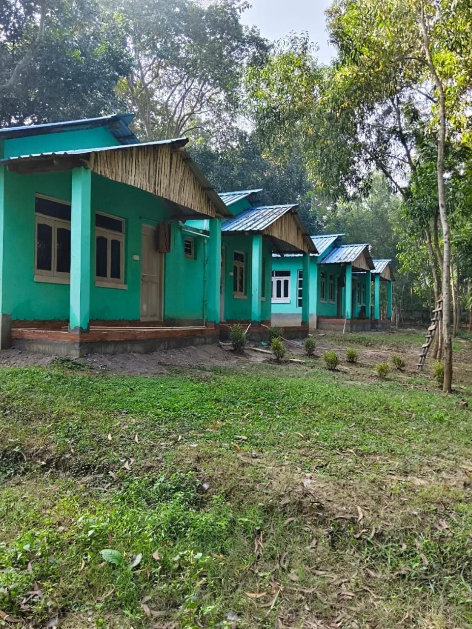 The Nest Homestay and Villa Farm Stay in West Bengal
