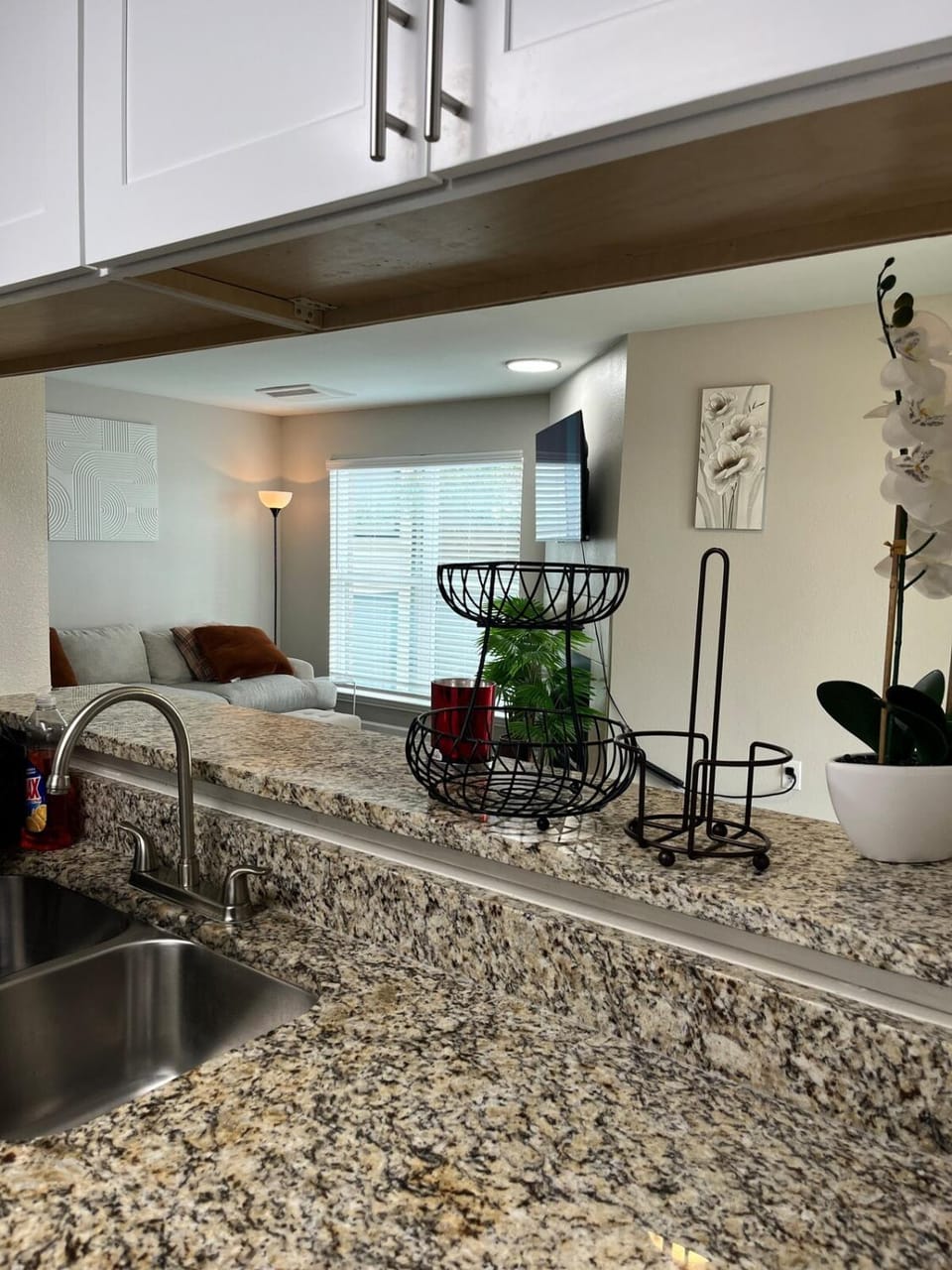 Stylish 2BR APT near downtown shopping IPTV Apartment in Dallas