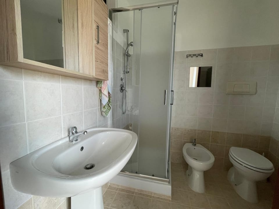 Shower, Toilet, Bathroom, bidet