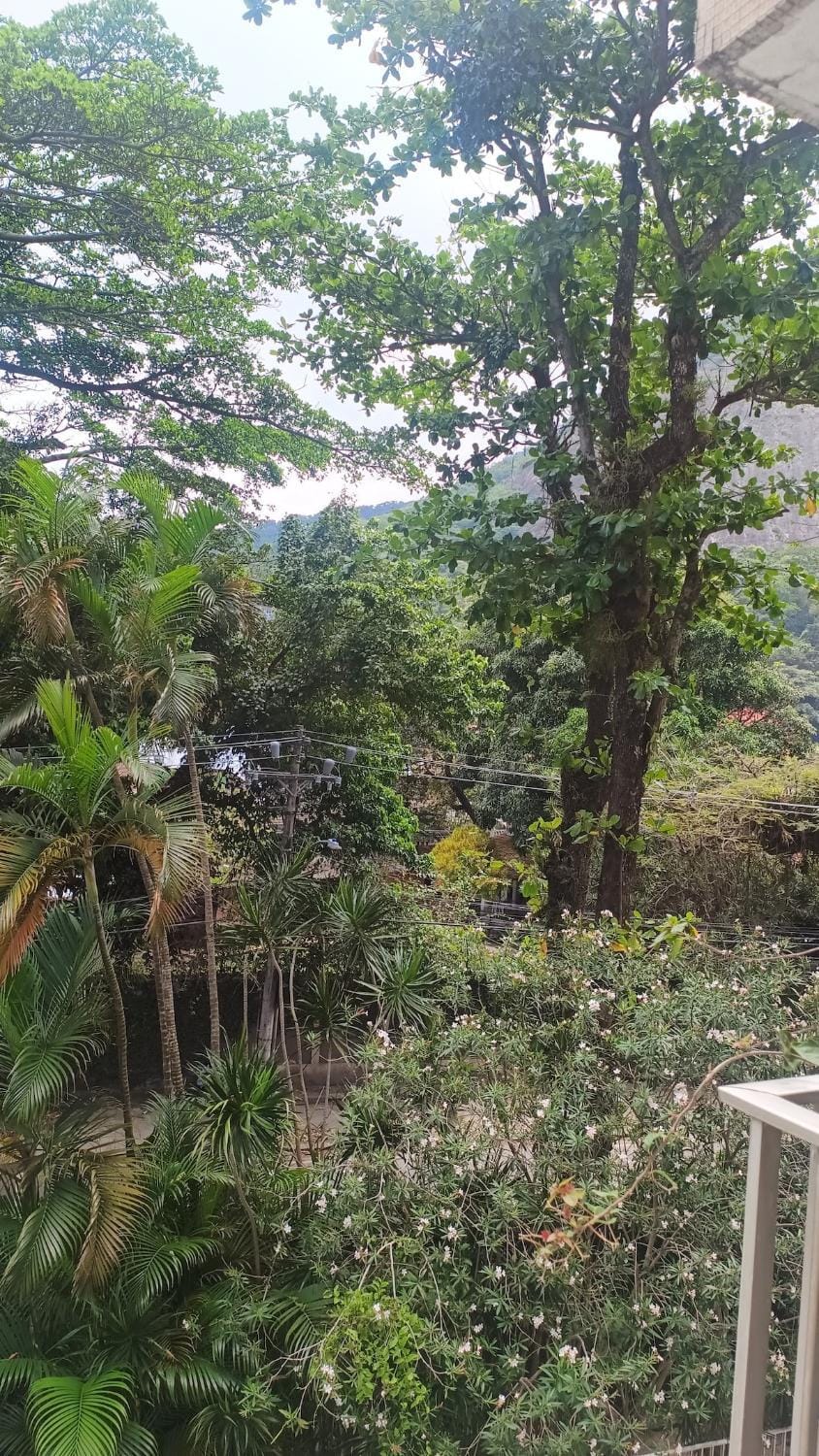Natural landscape