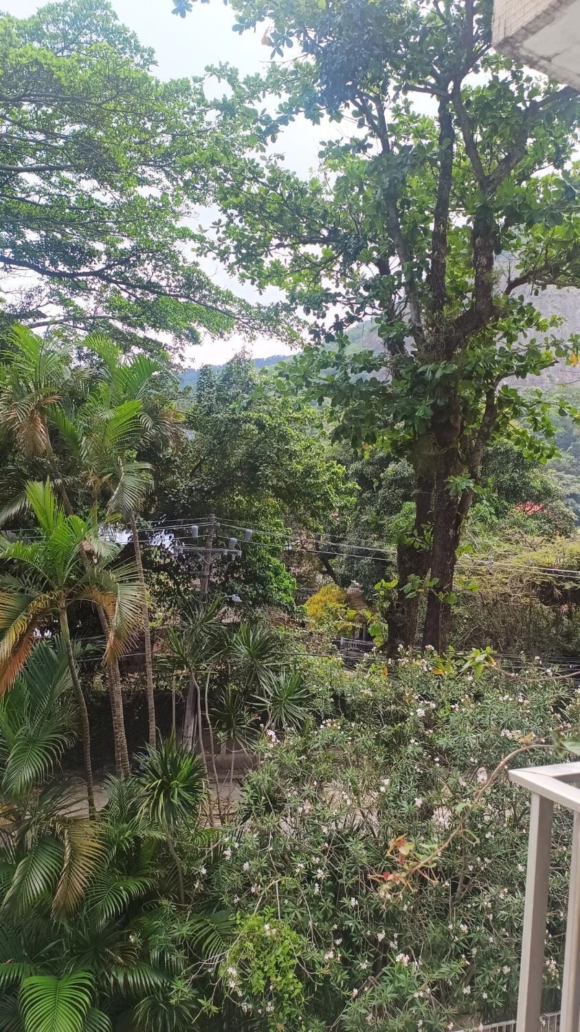 Natural landscape, Garden