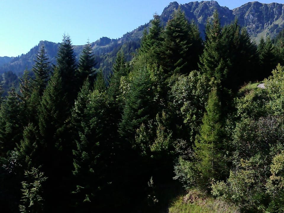 Natural landscape