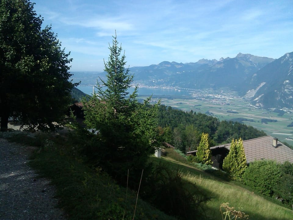 Natural landscape