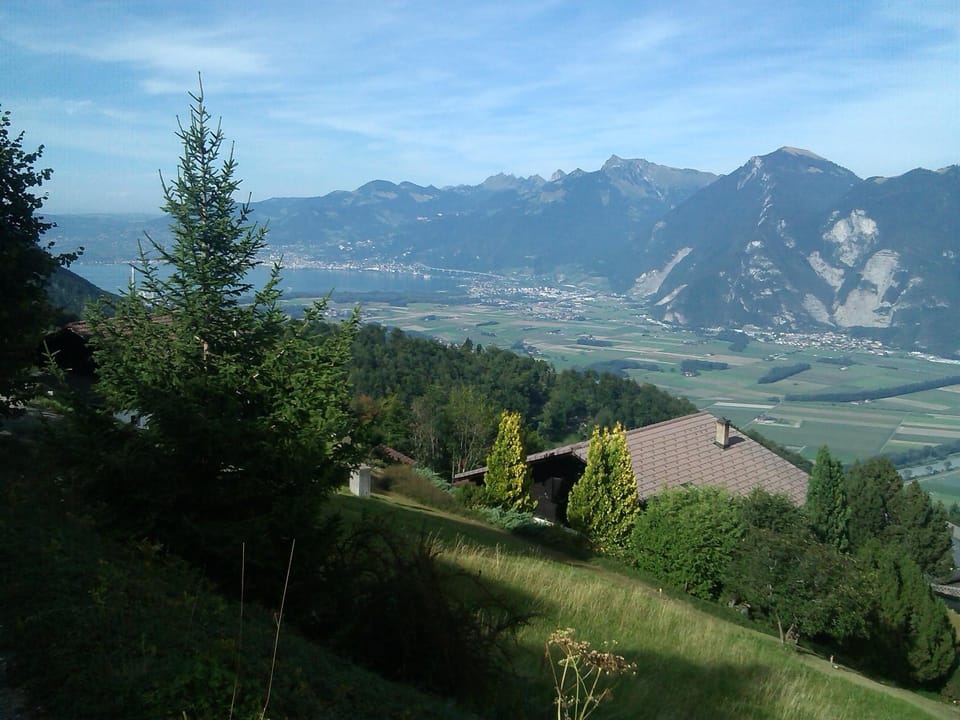 Spring, Natural landscape
