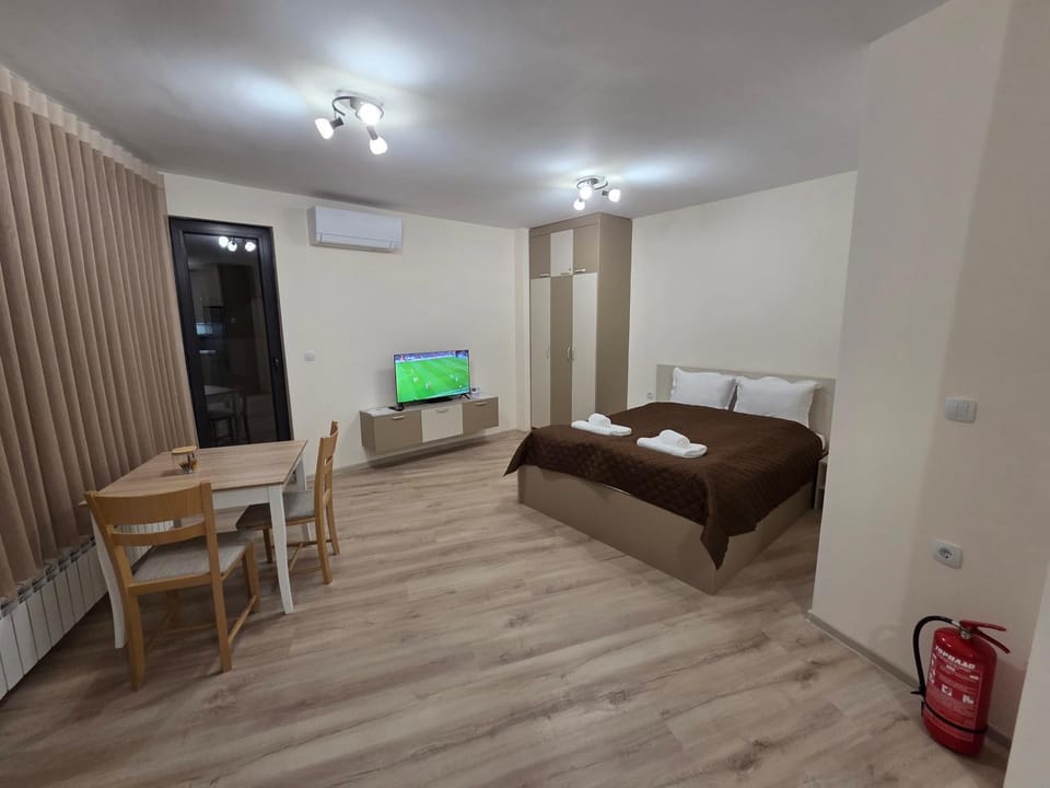 Bed, TV and multimedia, Living room, Photo of the whole room, Seating area, Dining area, Bedroom, internet, air conditioner