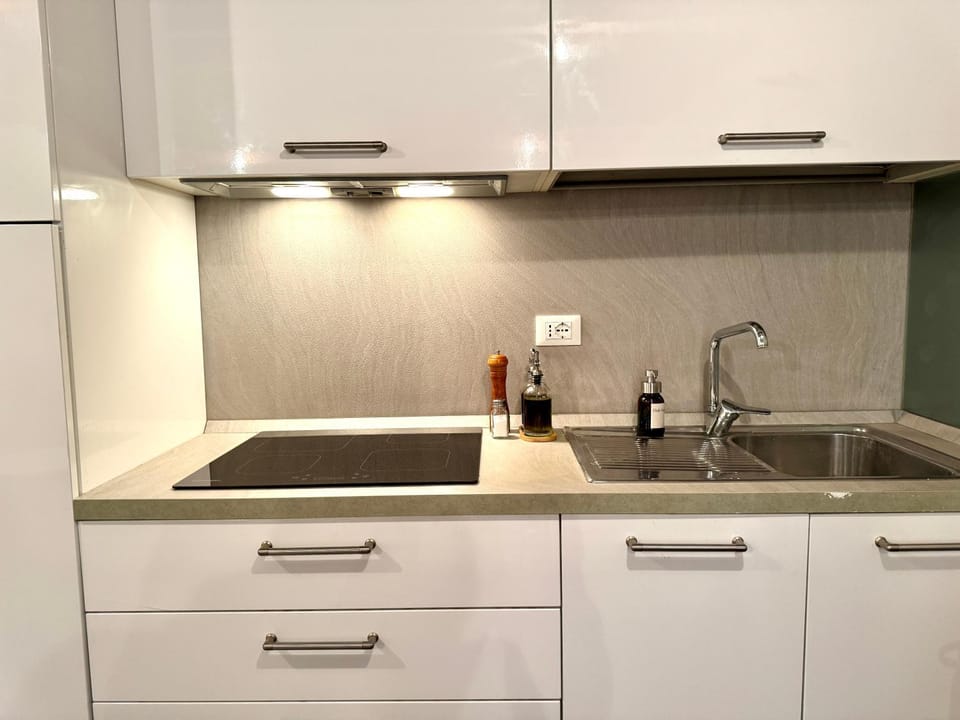 Kitchen or kitchenette, kitchen