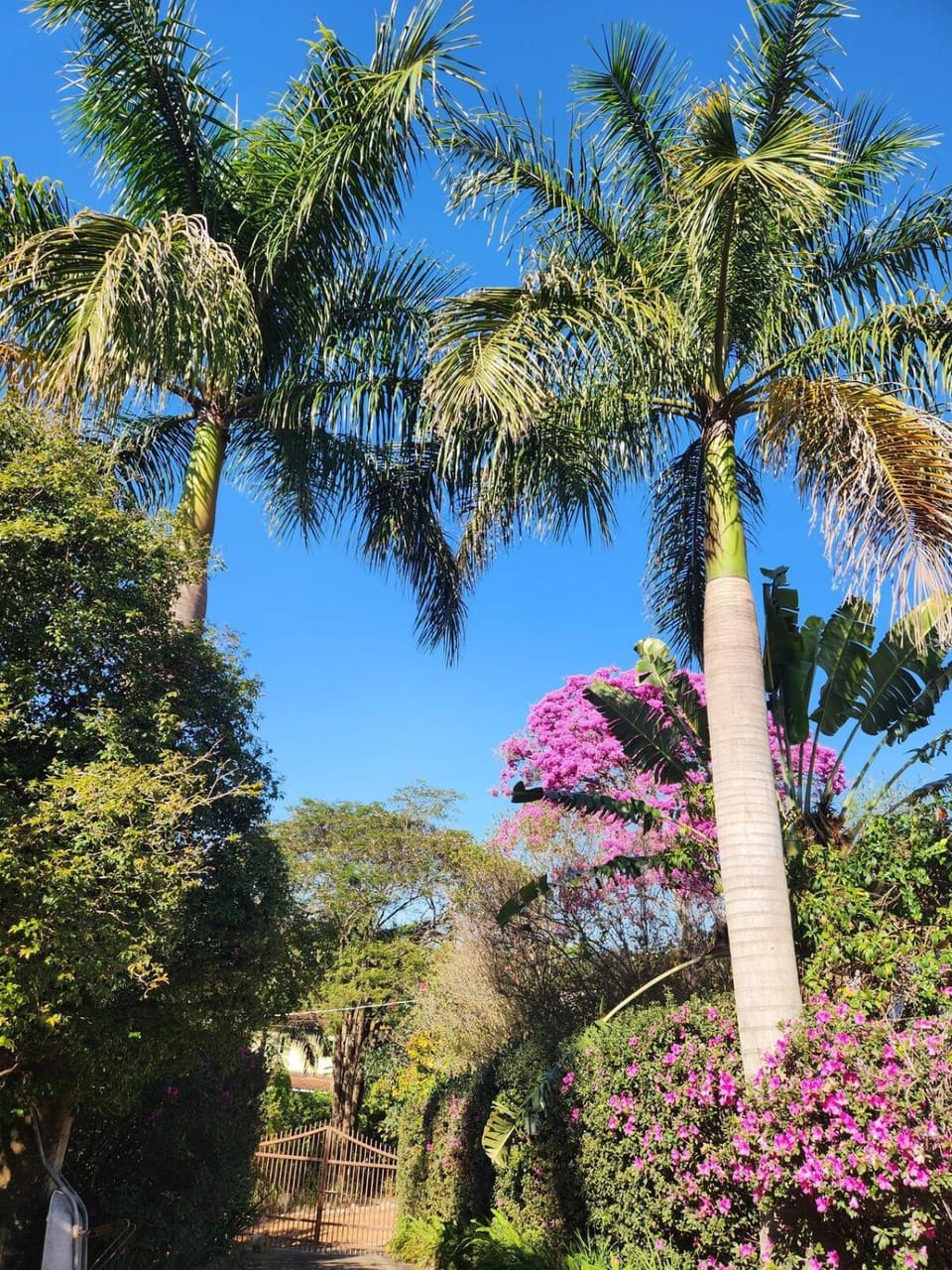 Natural landscape, Garden
