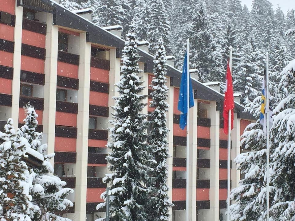 Property building, Winter