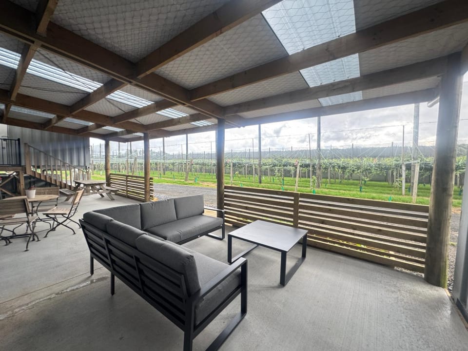 Patio, Day, Living room