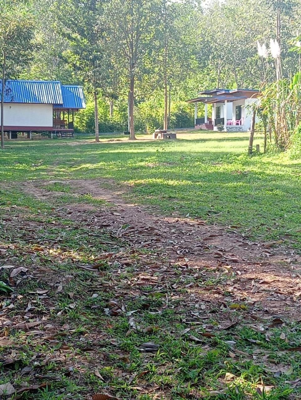 Property building, Day, Natural landscape, Garden