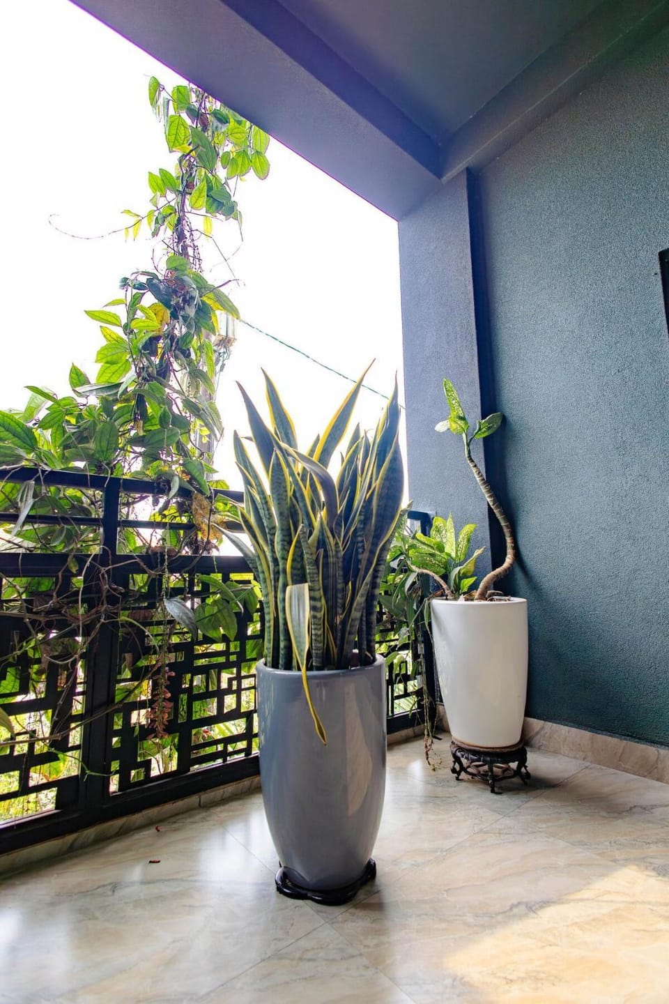 Patio, Balcony/Terrace, Garden view