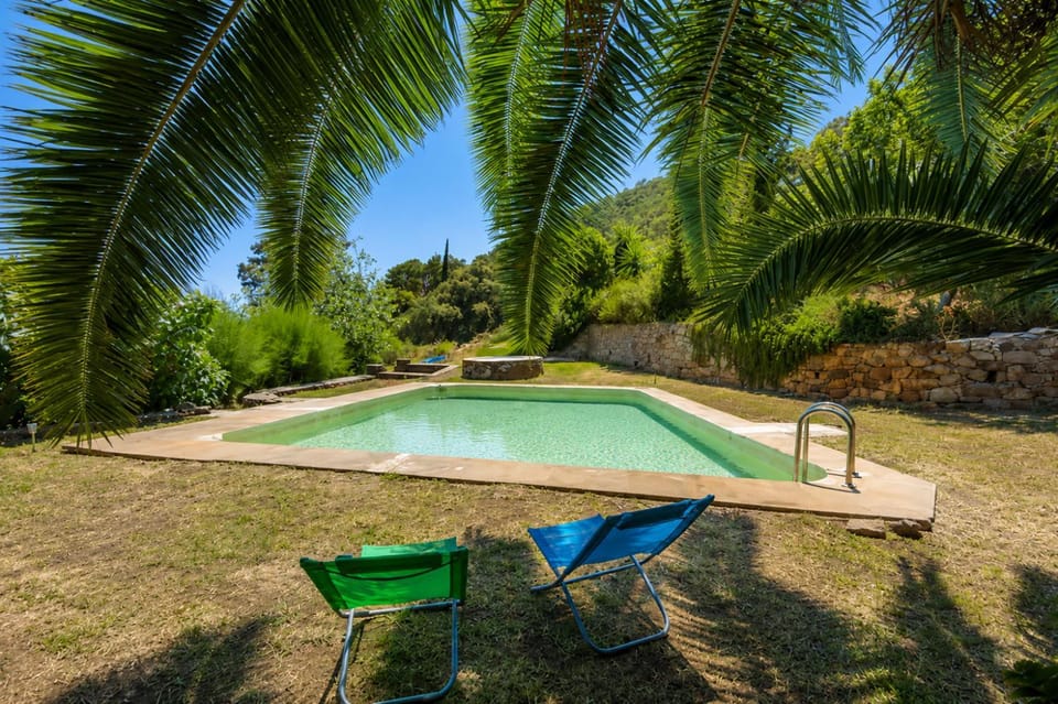 Garden, Swimming pool