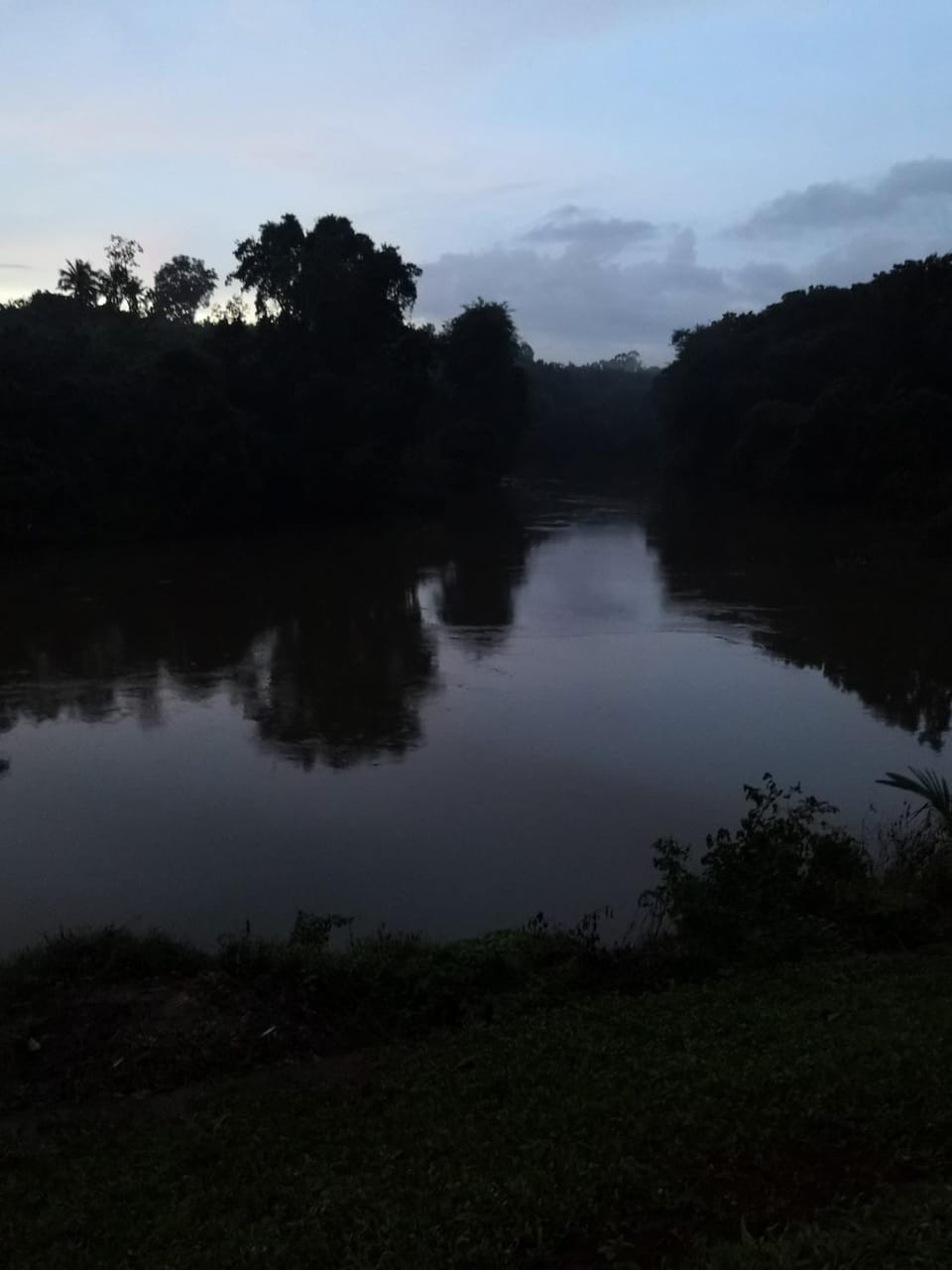 Biofarm - Riverfront villa Villa in Kerala