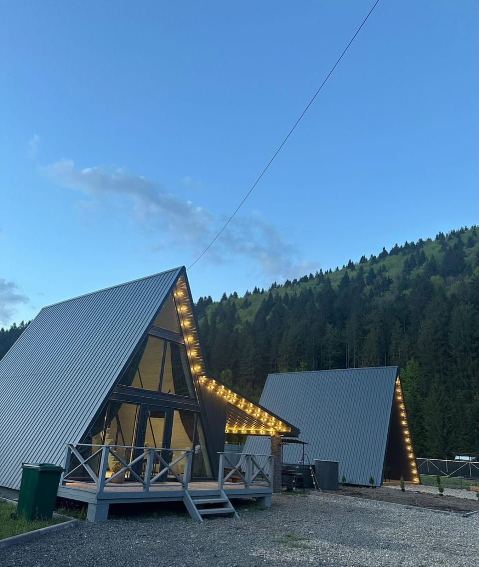 Frame&Forest House in Ukraine