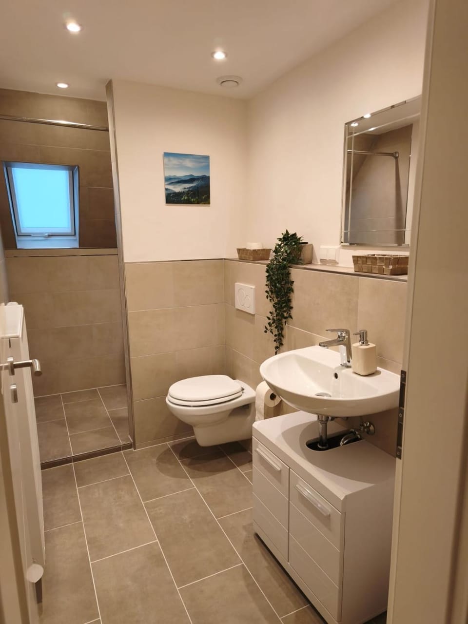 Shower, Toilet, Bathroom