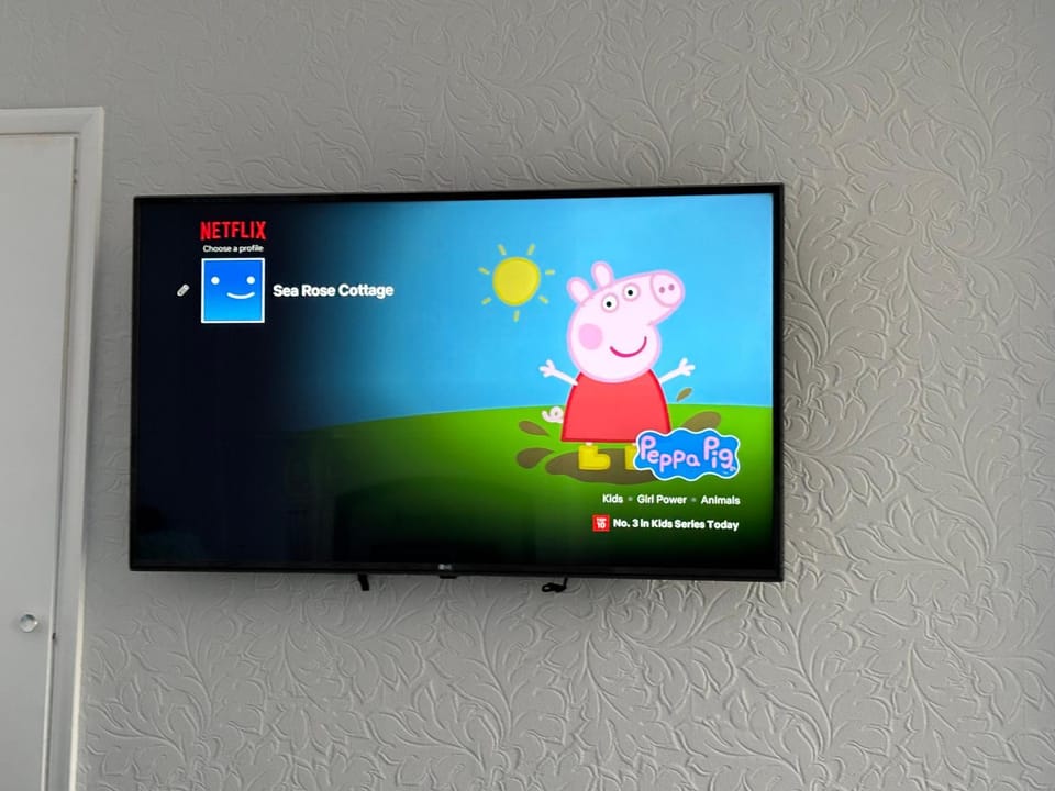 TV and multimedia