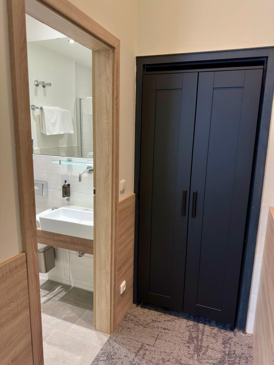 Bathroom, wardrobe