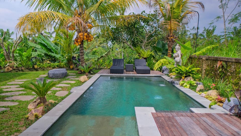 Day, Garden view, Pool view, Swimming pool, sunbed
