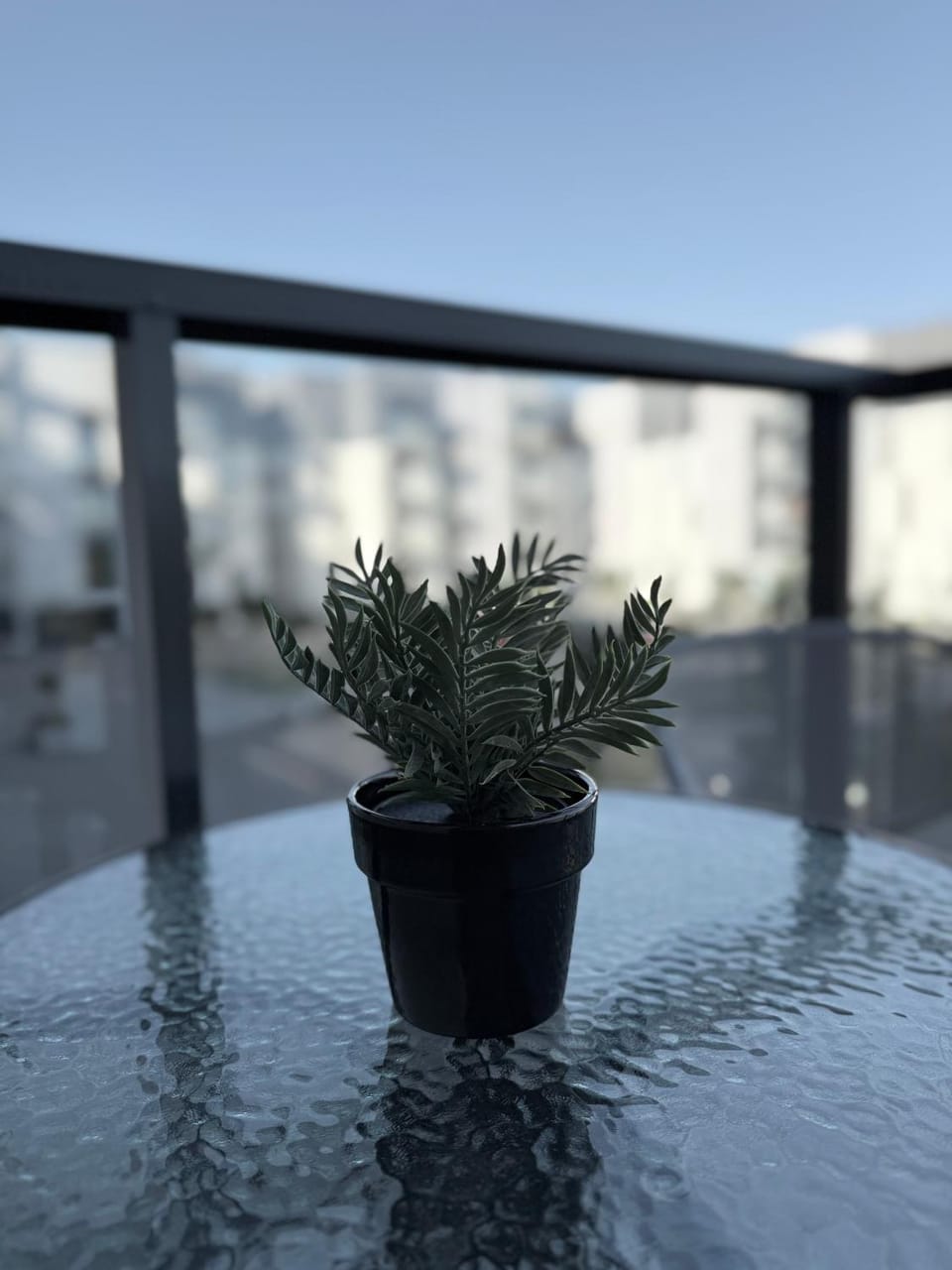 Apartament Natura Apartment in West Pomeranian Voivodeship, Poland