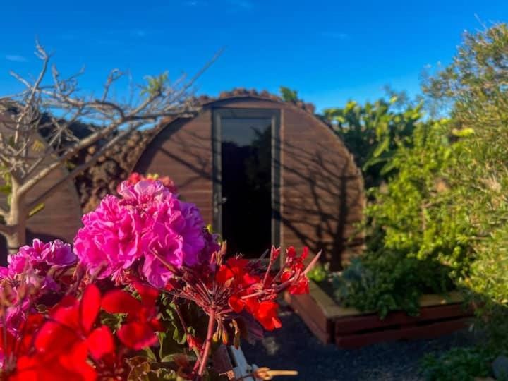 The Secret Garden Lanzarote Campground/ 
RV Resort in Isla de Lanzarote
