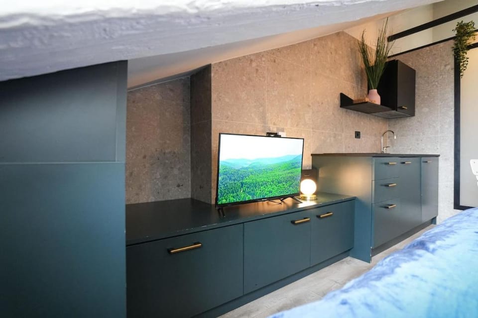 Bed, TV and multimedia, Kitchen or kitchenette, Photo of the whole room, Bedroom