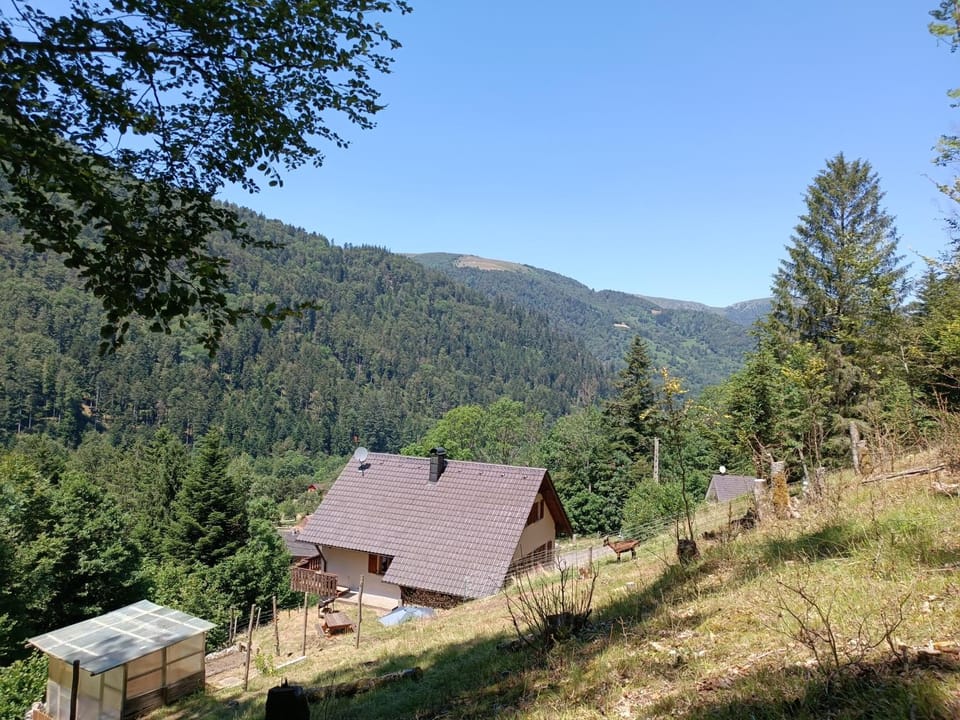 Day, Natural landscape, View (from property/room), Mountain view